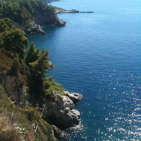 Serendipity Dubrovnik Centre-Free Parking Екстериор снимка